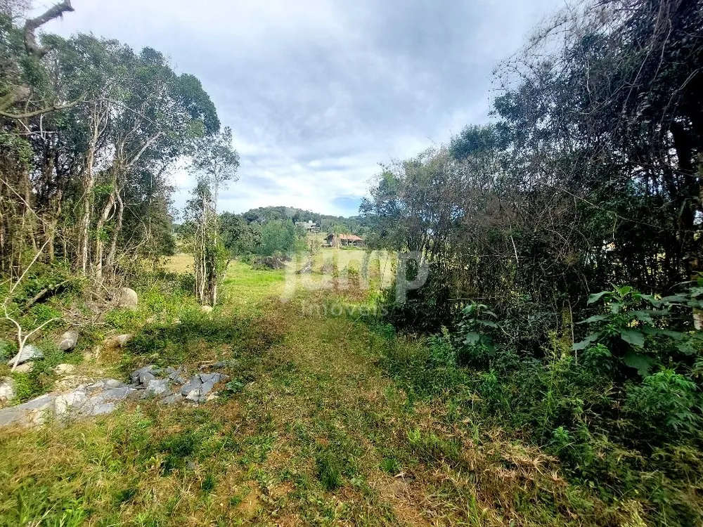 Terreno, 3001 m² - Foto 5