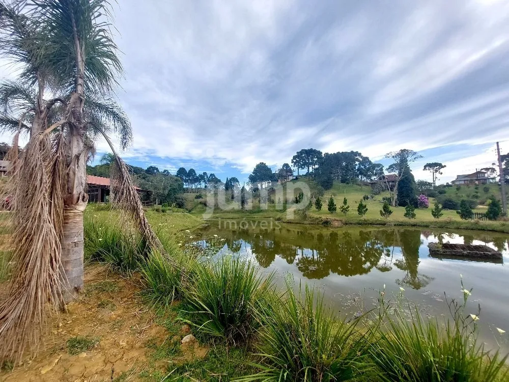 Terreno, 3001 m² - Foto 10