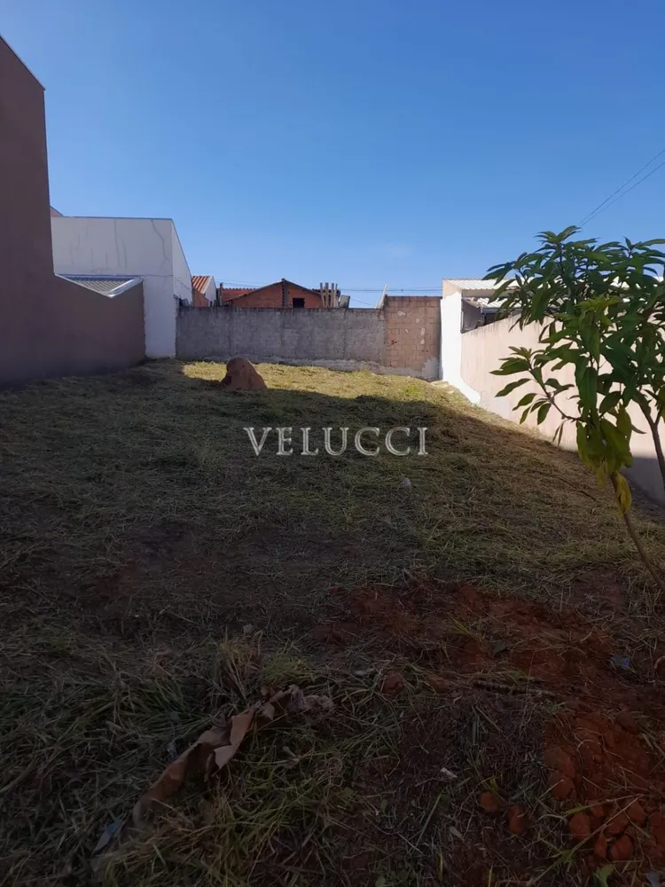 Terreno - Foto 3