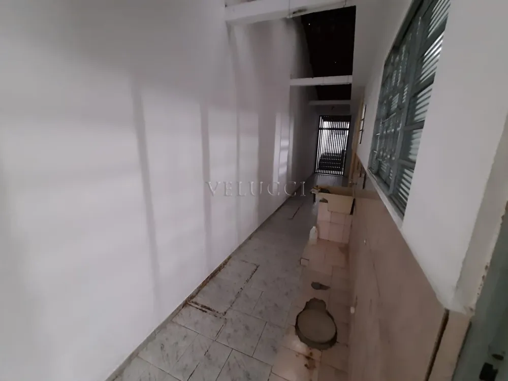 Casa, 3 quartos, 265 m² - Foto 13