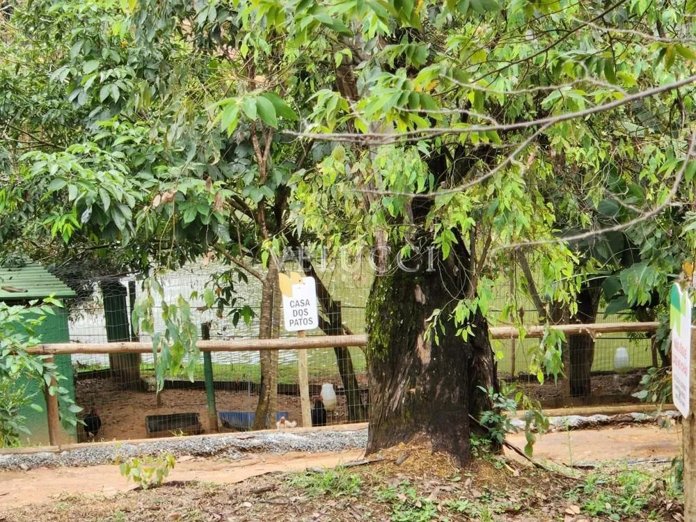Casa, 3 quartos, 135 m² - Foto 19