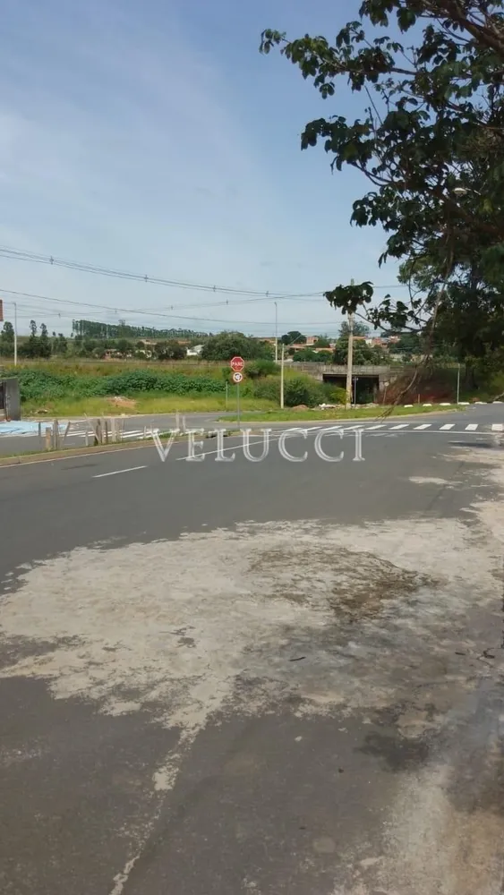 Terreno - Foto 3
