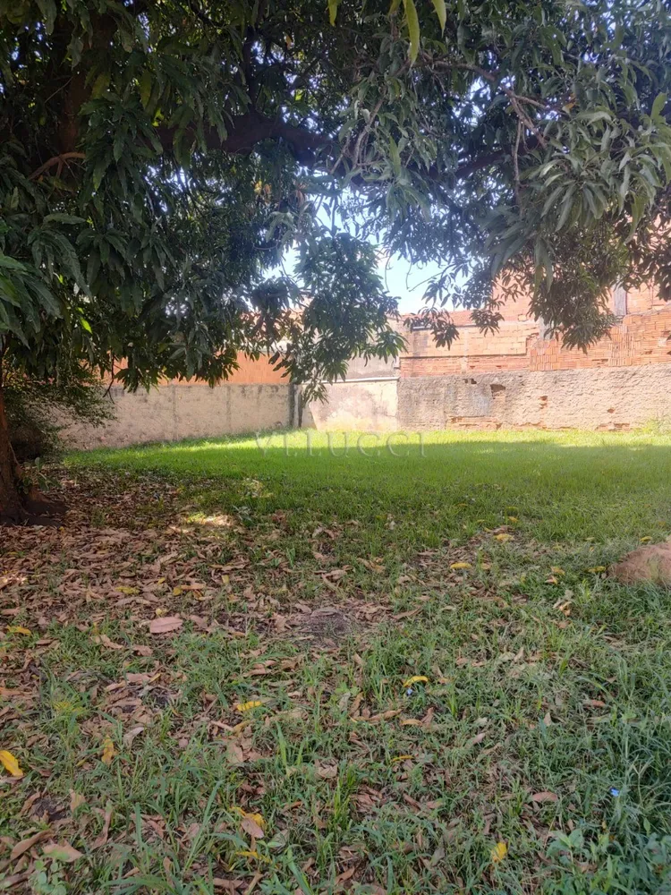 Casa, 3 quartos, 1000 m² - Foto 3