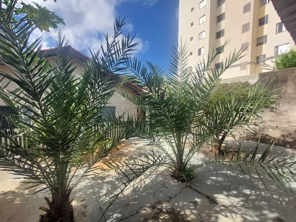 Casa, 3 quartos, 188 m² - Foto 6