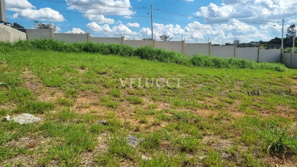 Terreno, 300 m² - Foto 5