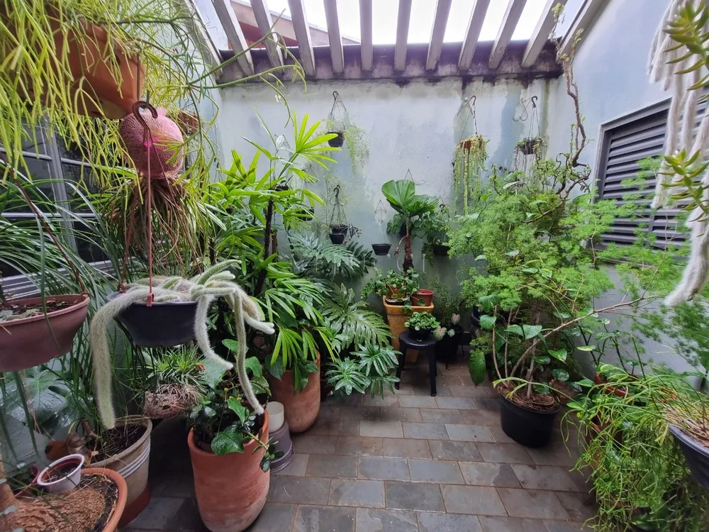 Casa, 3 quartos, 250 m² - Foto 20