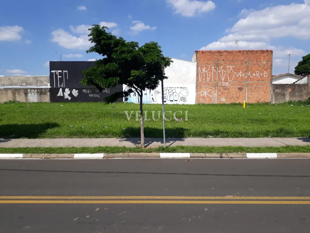 Terreno - Foto 1