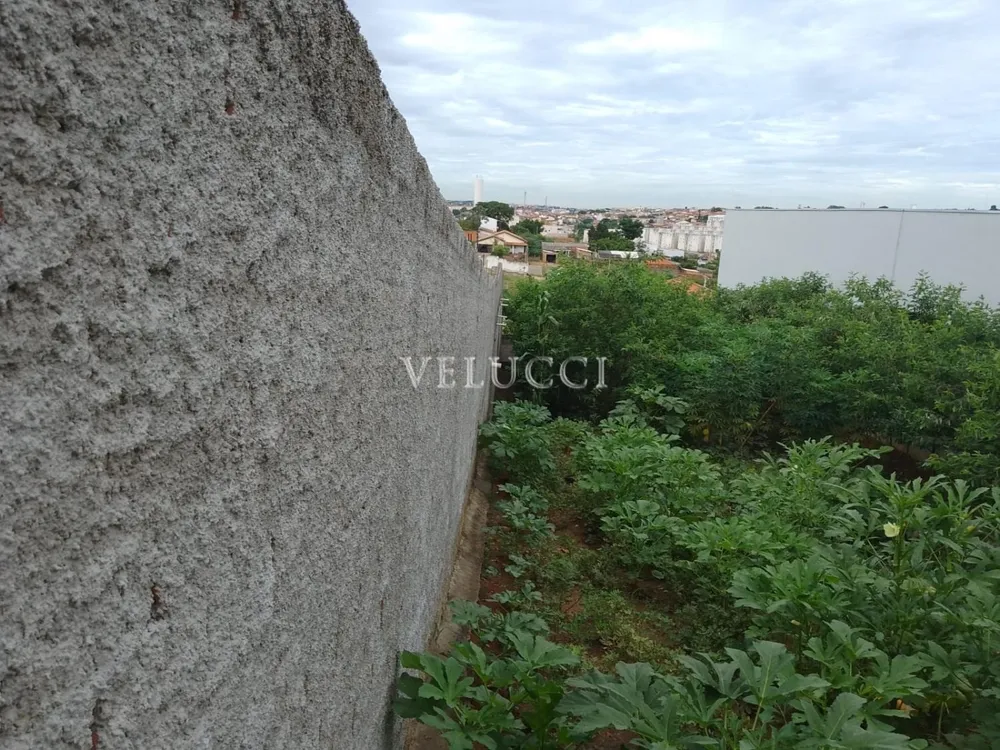Terreno - Foto 1