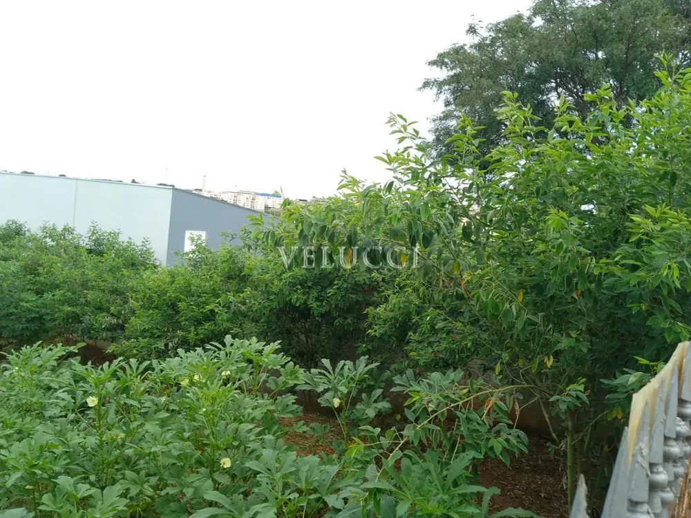Terreno - Foto 3