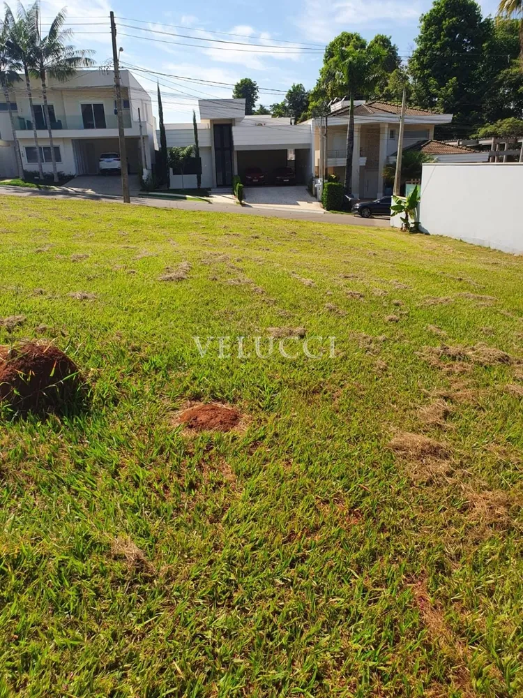 Terreno - Foto 9