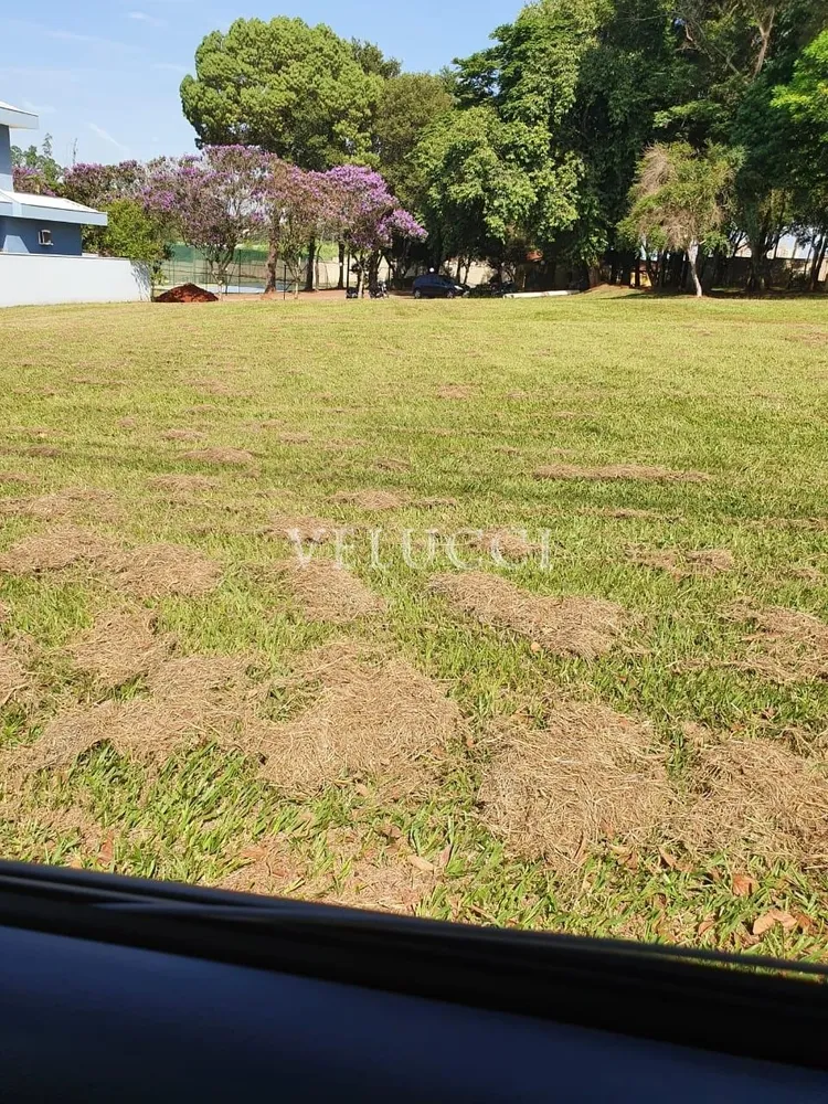 Terreno - Foto 1