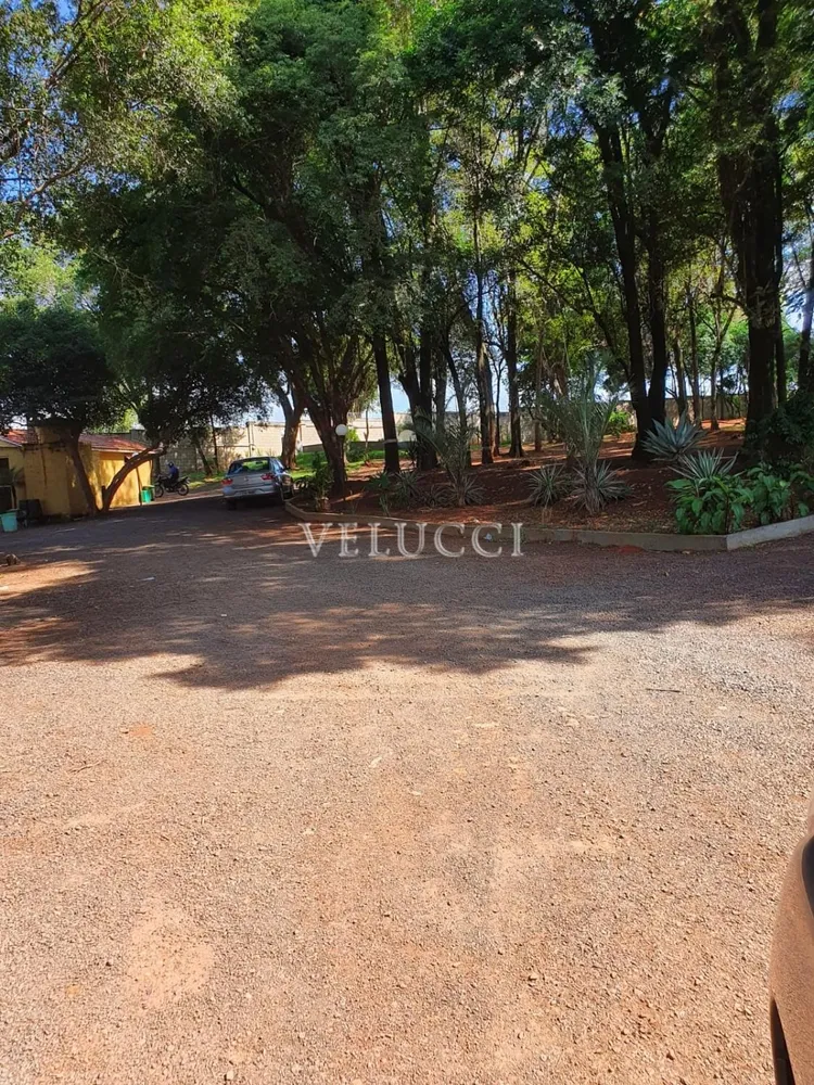 Terreno - Foto 4