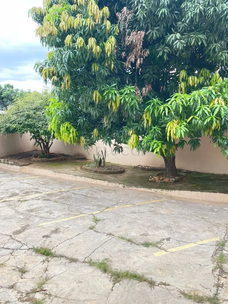 Casa, 3 quartos, 345 m² - Foto 3