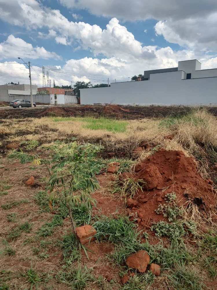 Terreno, 300 m² - Foto 3