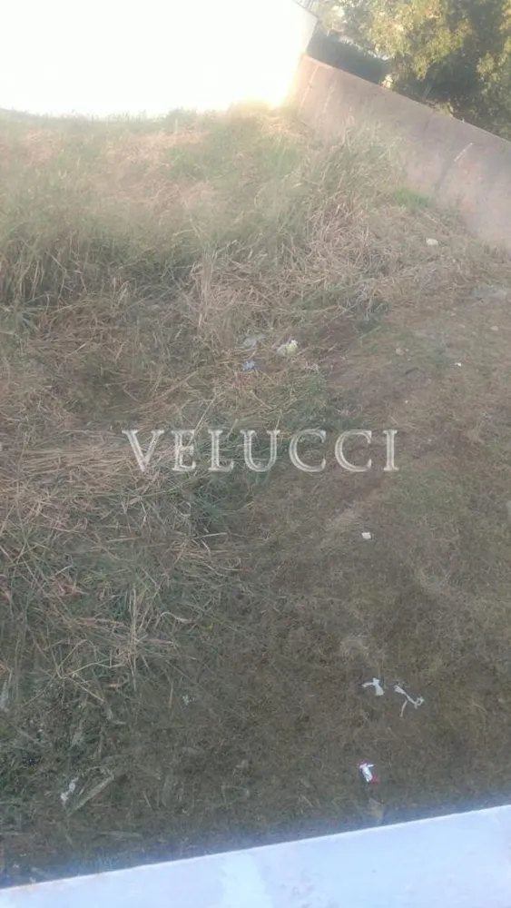 Terreno, 300 m² - Foto 4