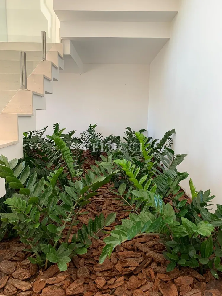 Casa, 4 quartos, 1580 m² - Foto 6