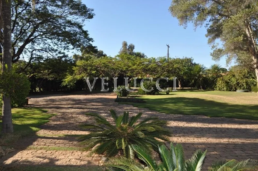 Casa, 5 quartos, 259 m² - Foto 3