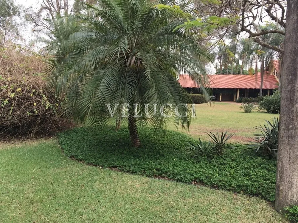 Casa, 5 quartos, 259 m² - Foto 12
