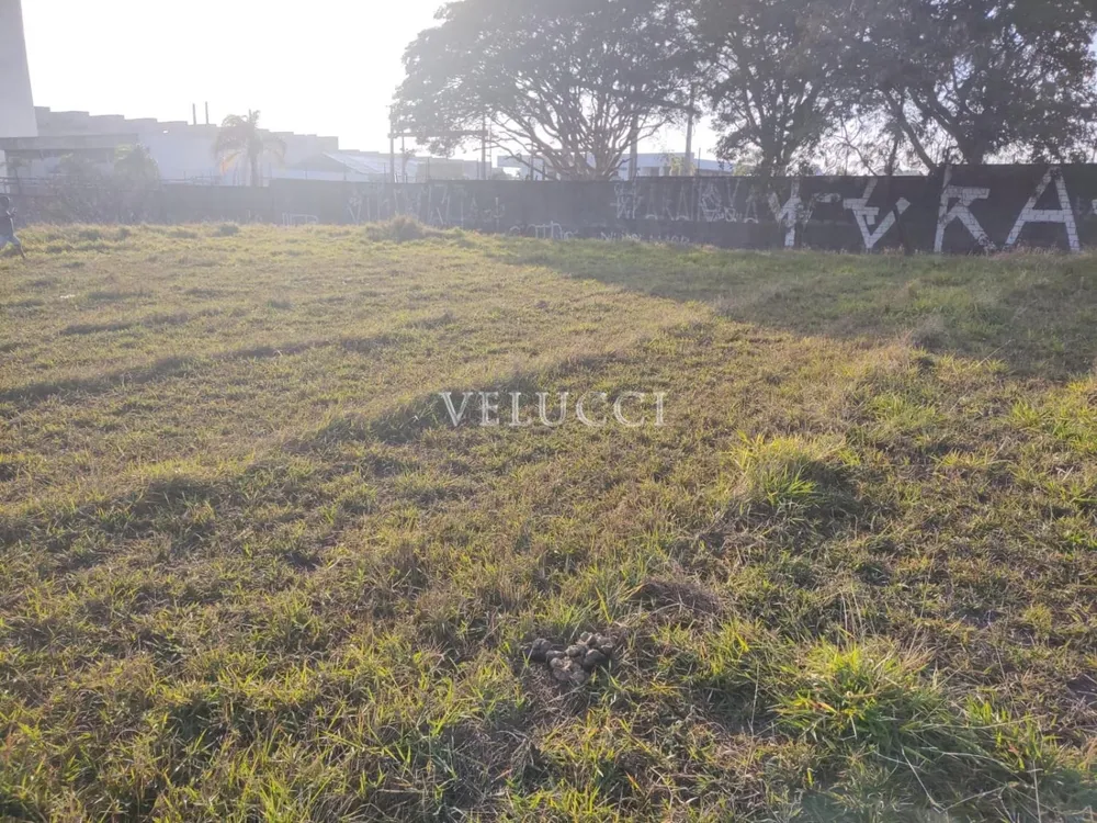 Terreno, 2000 m² - Foto 10