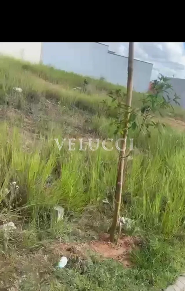Terreno - Foto 3