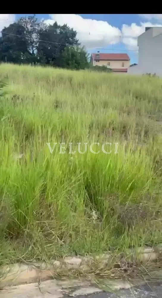 Terreno - Foto 7