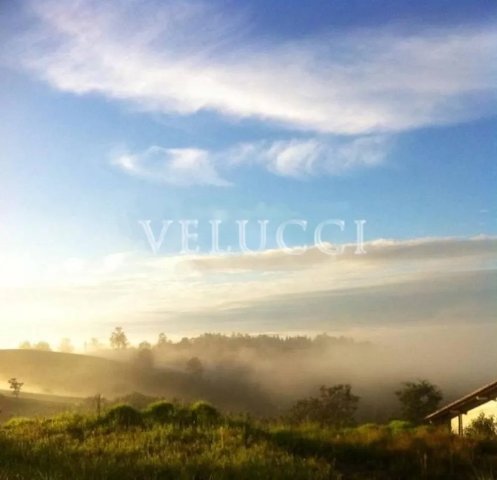 Terreno, 1330 m² - Foto 4