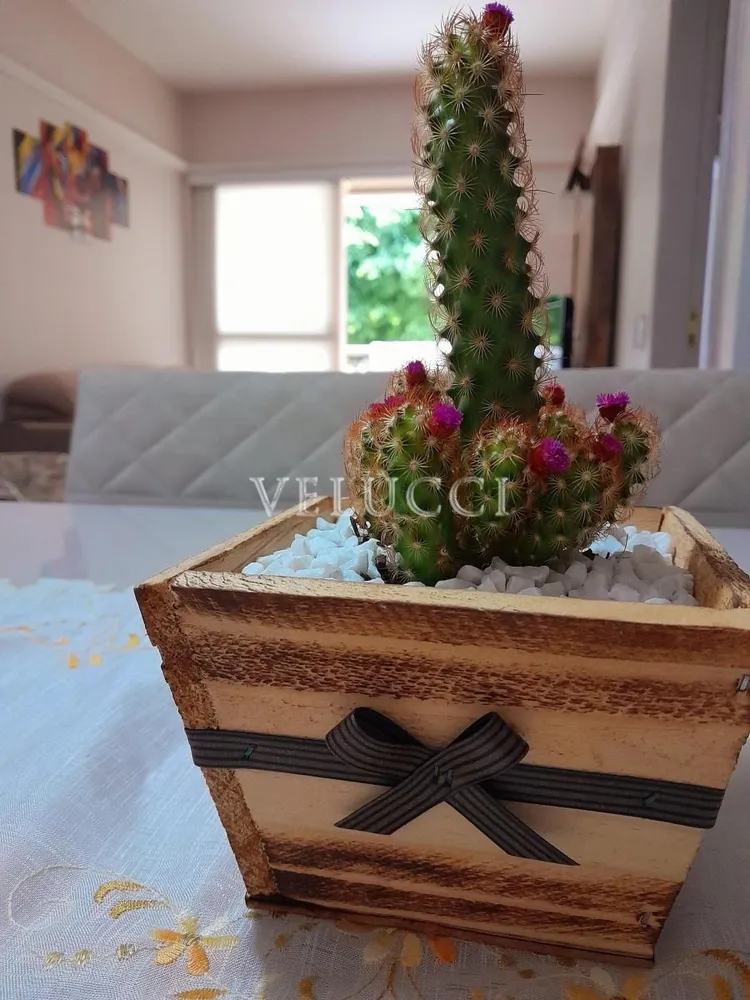 Apartamento, 3 quartos, 101 m² - Foto 6