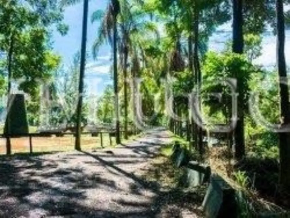 Terreno - Foto 5