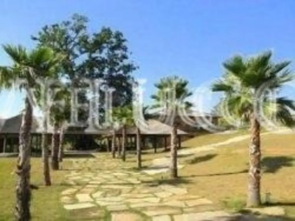 Terreno - Foto 4