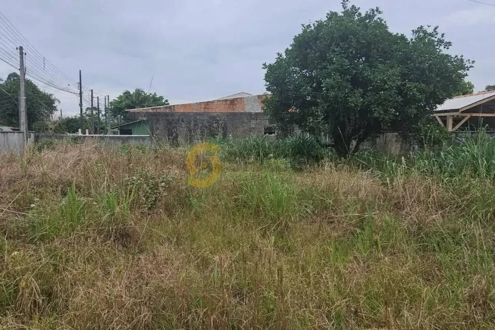 Terreno - Foto 4
