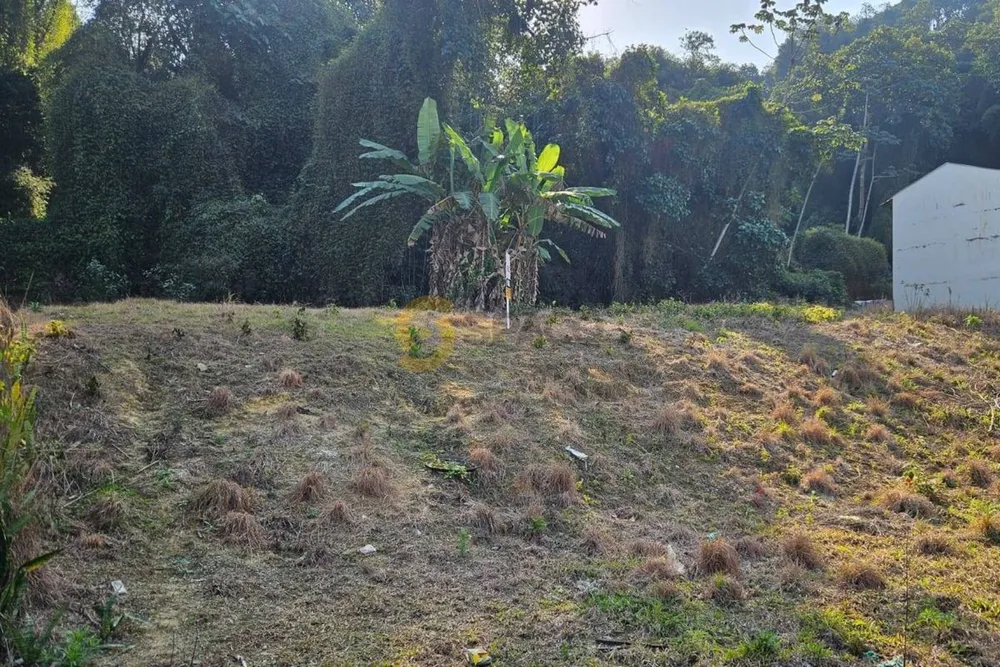 Terreno - Foto 8