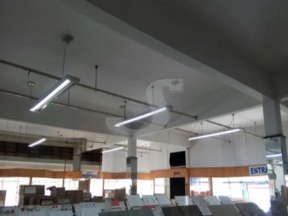 Sala-Conjunto, 2000 m² - Foto 4