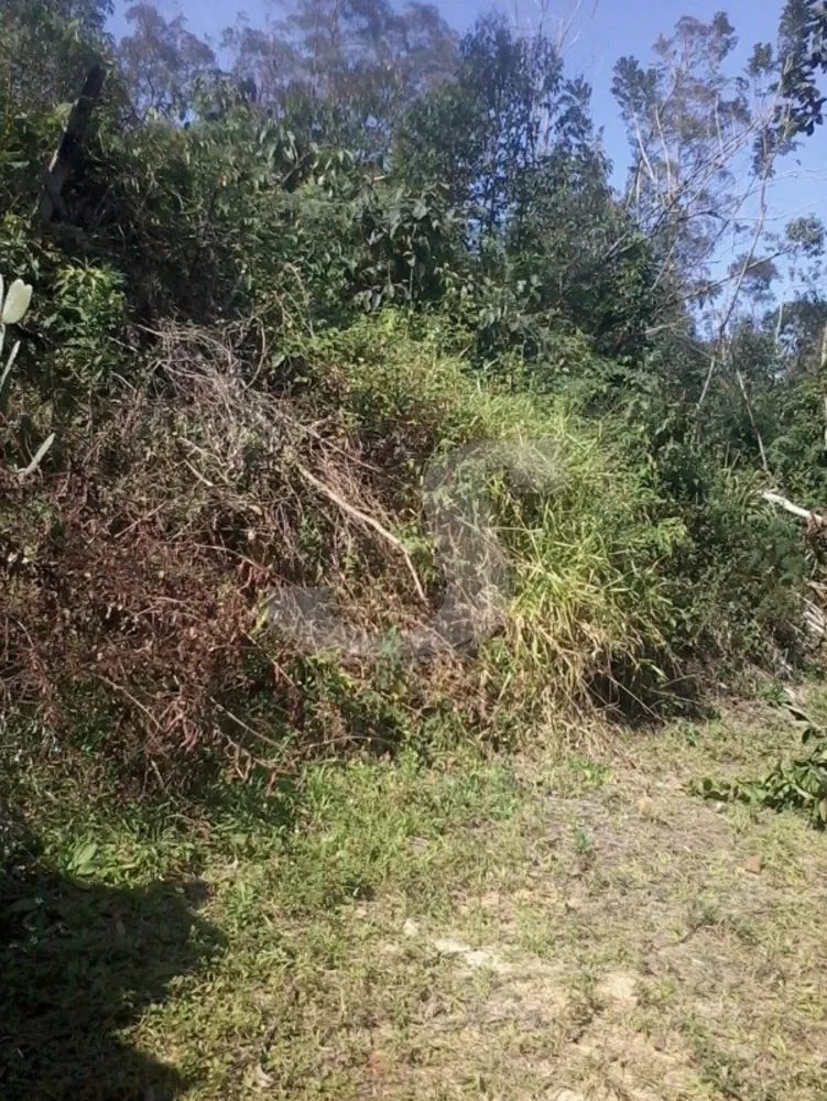 Chácara, 2 quartos, 6 hectares - Foto 4