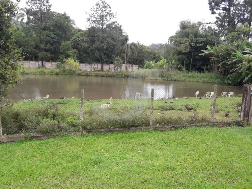 Sítio, 3 quartos, 2 hectares - Foto 3