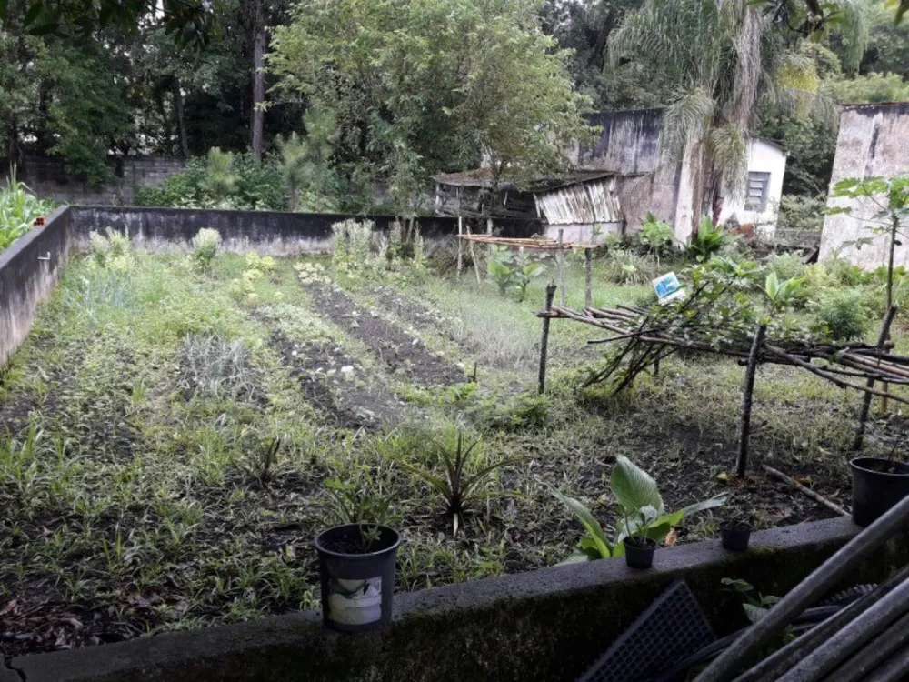Sítio, 3 quartos, 2 hectares - Foto 2