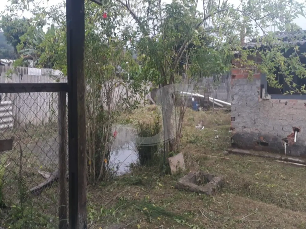 Chácara, 2 quartos, 50 m² - Foto 3