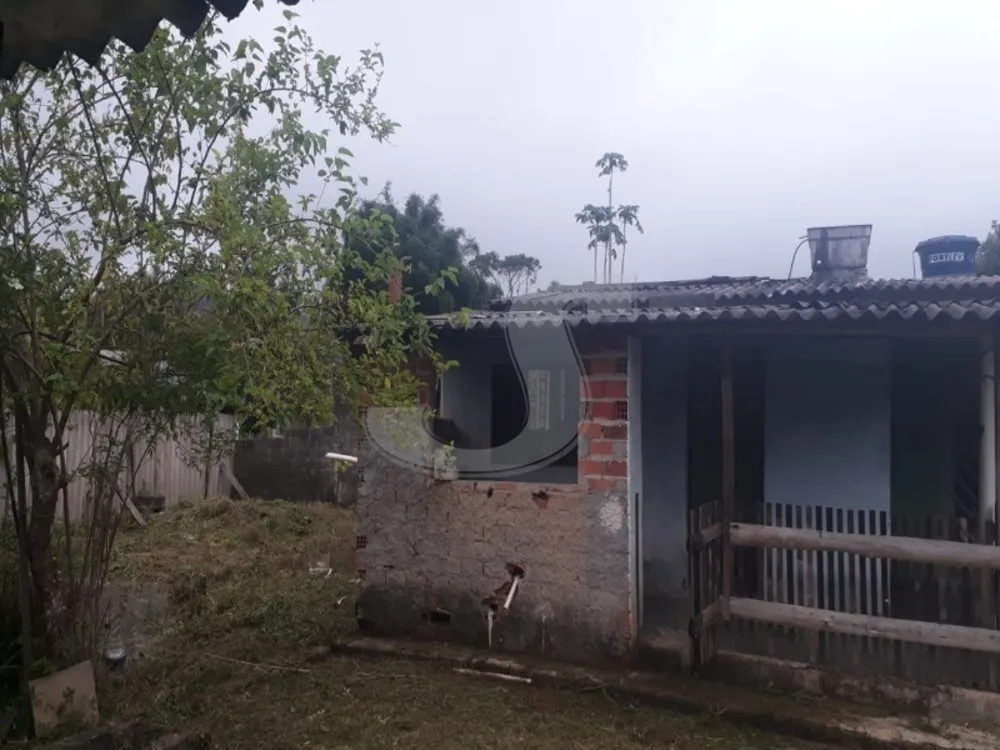 Chácara, 2 quartos, 50 m² - Foto 4