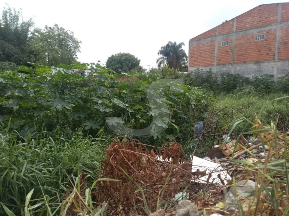 Terreno, 585 m² - Foto 3