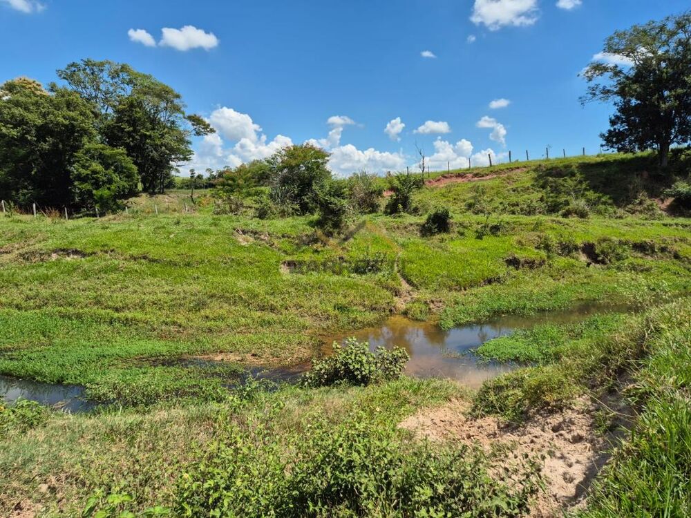 Sítio, 7 hectares - Foto 15