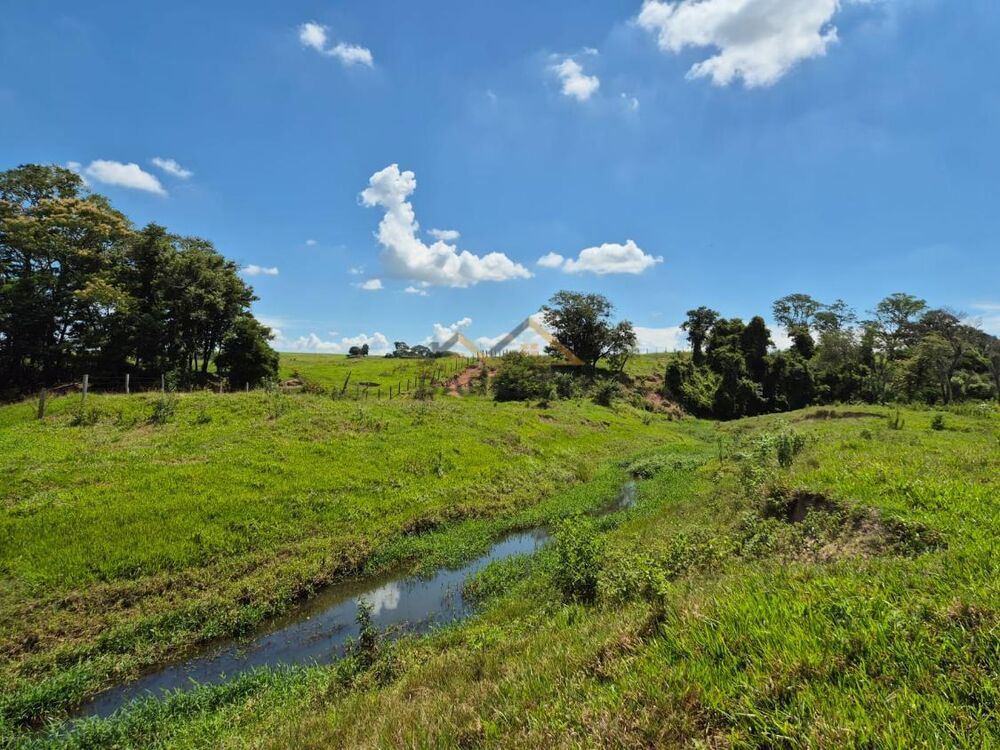 Sítio, 7 hectares - Foto 16