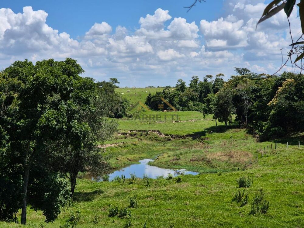 Sítio, 7 hectares - Foto 19
