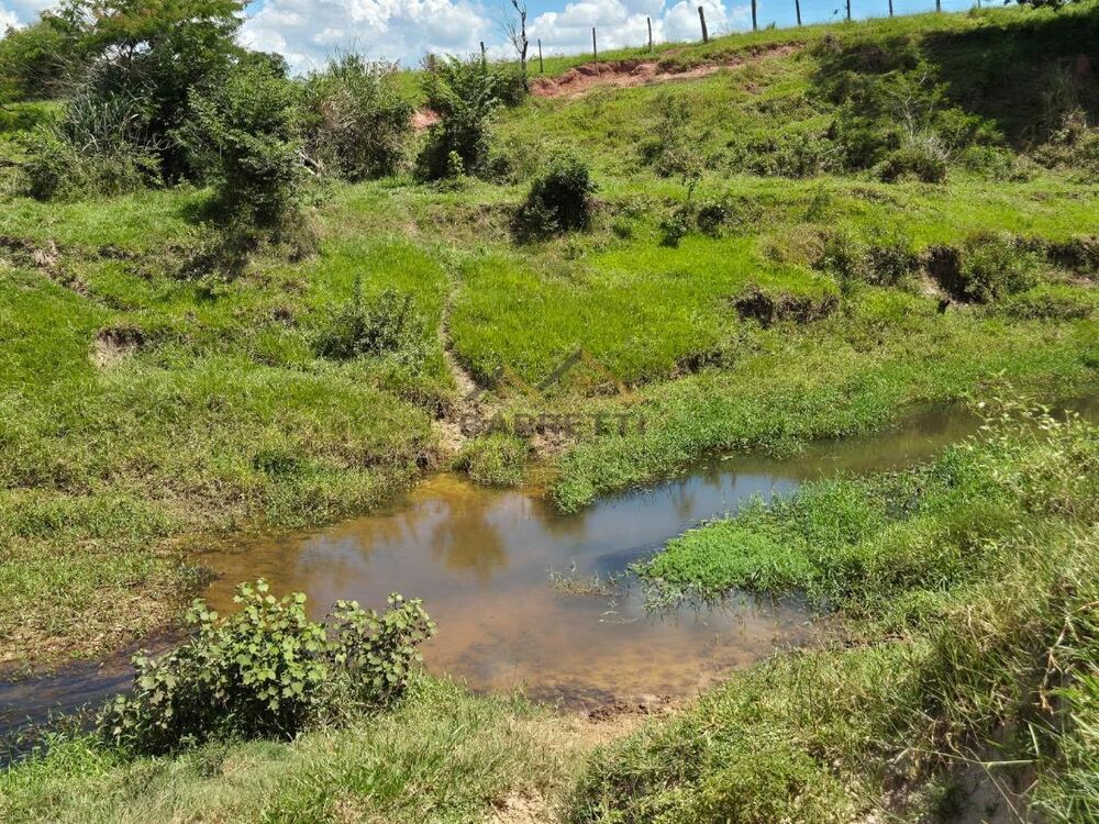 Sítio, 7 hectares - Foto 14