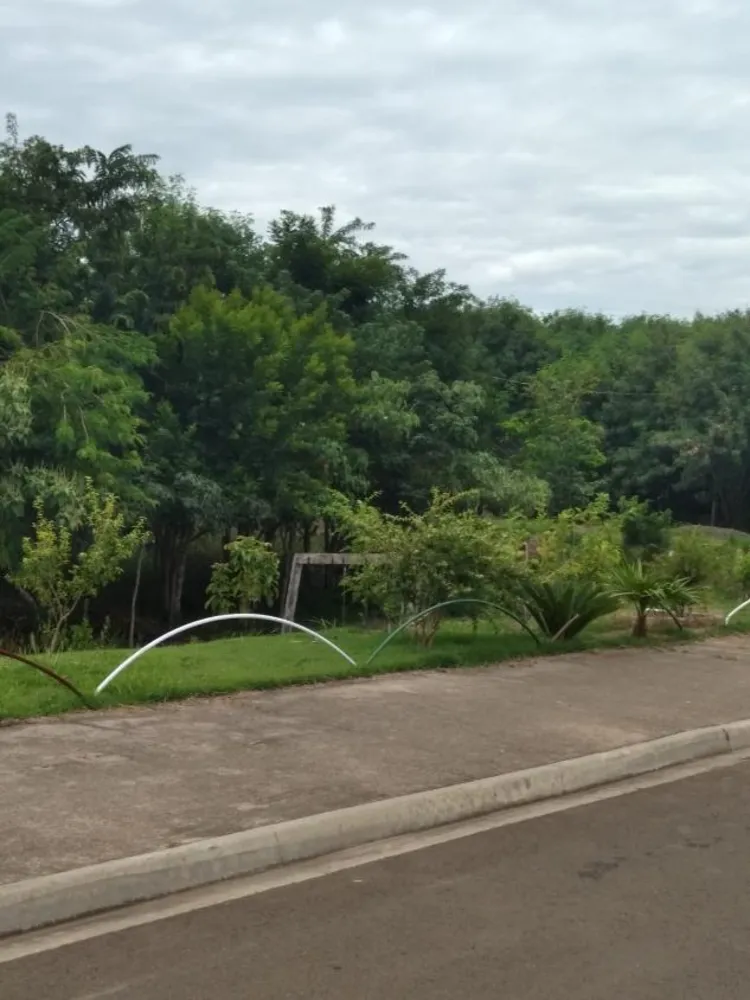 Terreno, 250 m² - Foto 3