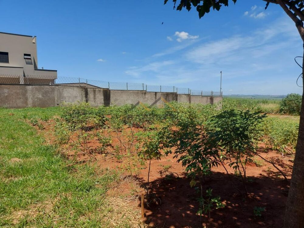 Terreno, 250 m² - Foto 3