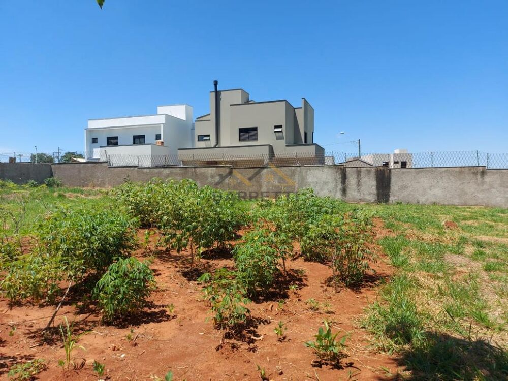 Terreno, 250 m² - Foto 2