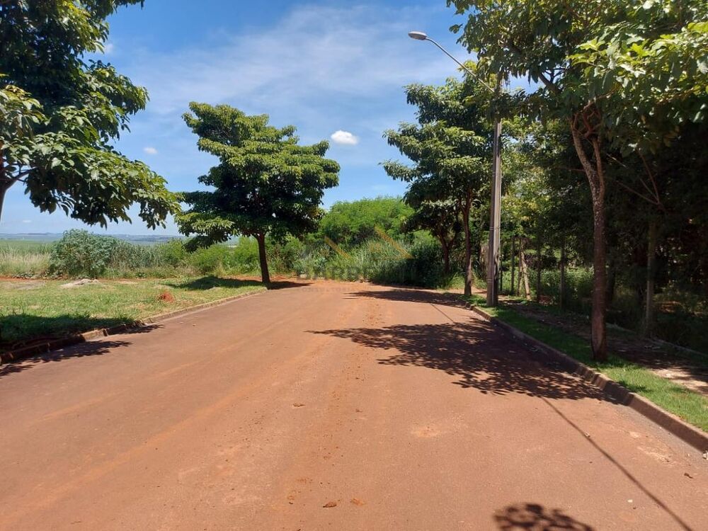 Terreno, 250 m² - Foto 4