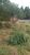 Terreno, 1500 m² - Foto 6