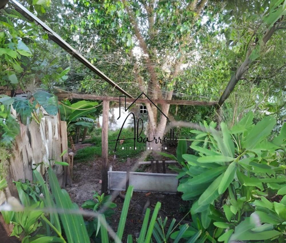 Chácara, 3 quartos, 2 hectares - Foto 12