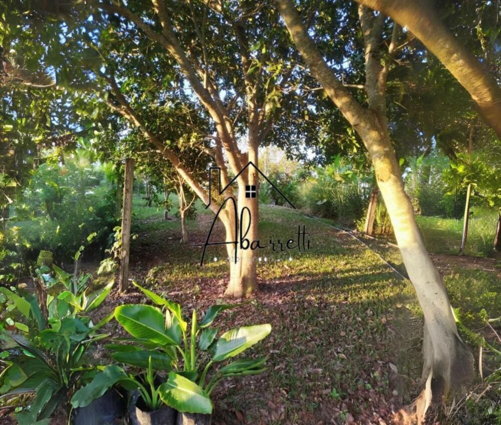 Chácara, 3 quartos, 2 hectares - Foto 8