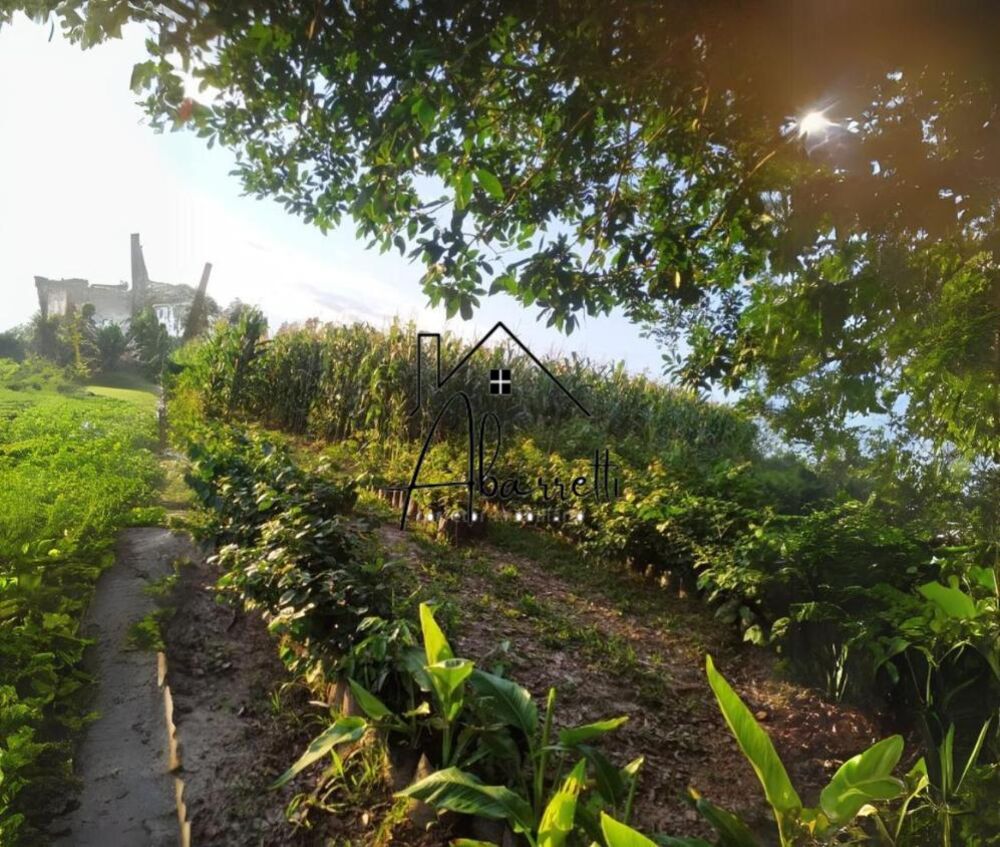 Chácara, 3 quartos, 2 hectares - Foto 10